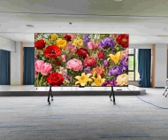 某公司多功能廳智慧屏